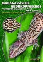 Cover-Bild Madagassische Großkopfgeckos