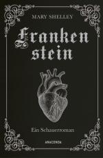 Cover-Bild Mary Shelley, Frankenstein. Ein Schauerroman