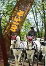 Cover-Bild Mein schräger Blick auf Wien