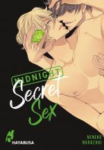 Cover-Bild Midnight Secret Sex