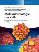 Cover-Bild Molekularbiologie der Zelle