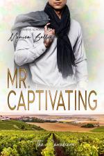 Cover-Bild Mr. Captivating
