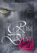 Cover-Bild Nachtjäger