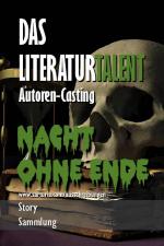 Cover-Bild Nachtohne Ende