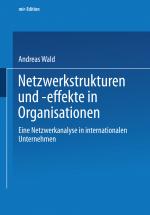 Cover-Bild Netzwerkstrukturen und -effekte in Organisationen
