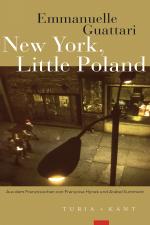 Cover-Bild New York, Little Poland