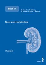 Cover-Bild Niere und Homöostase