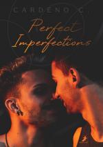 Cover-Bild Perfect Imperfections