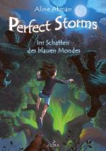 Cover-Bild Perfect Storms