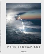 Cover-Bild Pictures by # the Stormpilot