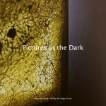 Cover-Bild Pictures in the Dark