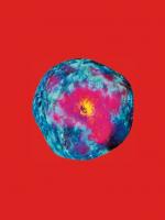 Cover-Bild Pipilotti Rist: Dein Speichel ist mein Taucheranzug im Ozean des Schmerzes