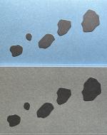 Cover-Bild Präparat Bergsturz