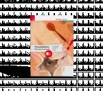 Cover-Bild Praxisblicke - Betriebswirtschaft 2 FW + TRAUNER-DigiBox