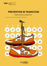 Cover-Bild Prevention in Transition