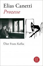 Cover-Bild Prozesse. Über Franz Kafka