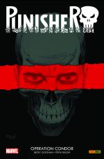 Cover-Bild Punisher