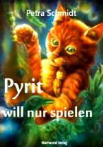 Cover-Bild Pyrit will nur spielen