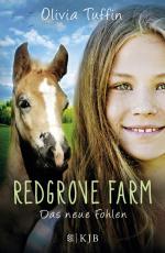 Cover-Bild Redgrove Farm – Das neue Fohlen