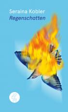 Cover-Bild Regenschatten