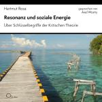 Cover-Bild Resonanz und soziale Energie