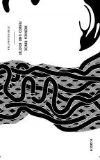 Cover-Bild Risiko und Idiotie