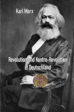 Cover-Bild Rote Bücher / Revolution und Kontre-Revolution in Deutschland