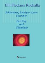 Cover-Bild Schlawiner, Betrüger, Love-Scammer