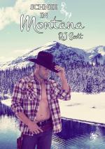Cover-Bild Schnee in Montana