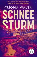 Cover-Bild Schneesturm