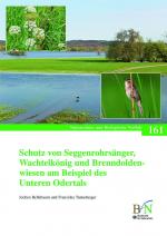 Cover-Bild Schutz von Seggenrohrsänger, Wachtelkönig und Brenndoldenwiesen am Beispiel des Unteren Odertals