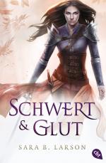 Cover-Bild Schwert und Glut