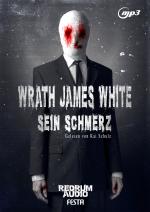 Cover-Bild Sein Schmerz - MP3 Hörbuch