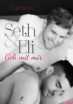 Cover-Bild Seth & Eli: Geh mit mir