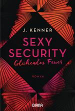 Cover-Bild Sexy Security