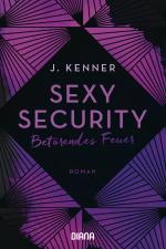 Cover-Bild Sexy Security