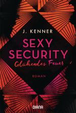 Cover-Bild Sexy Security
