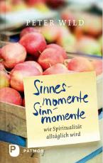 Cover-Bild Sinnesmomente-Sinnmomente