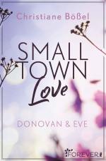 Cover-Bild Small Town Love (Minot Love Story 3)