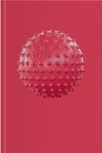 Cover-Bild Sophie Hirsch