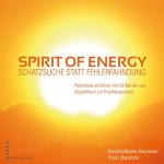 Cover-Bild Spirit of Energy, Schatzsuche statt Fehlerfahndung
