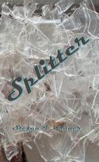 Cover-Bild Splitter