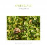 Cover-Bild Spreewald Anthologie VII