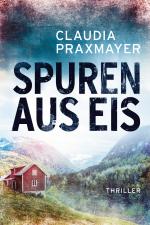 Cover-Bild Spuren aus Eis
