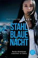 Cover-Bild Stahlblaue Nacht