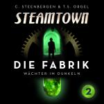 Cover-Bild Steamtown