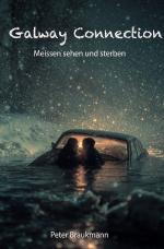 Cover-Bild Steffen Schröder Kriminalromane / Galway Connection