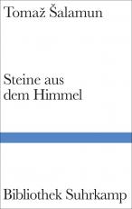 Cover-Bild Steine aus dem Himmel