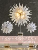 Cover-Bild Sterne & Schneekristalle aus Papiertüten
