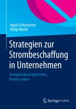 Cover-Bild Strategien zur Strombeschaffung in Unternehmen